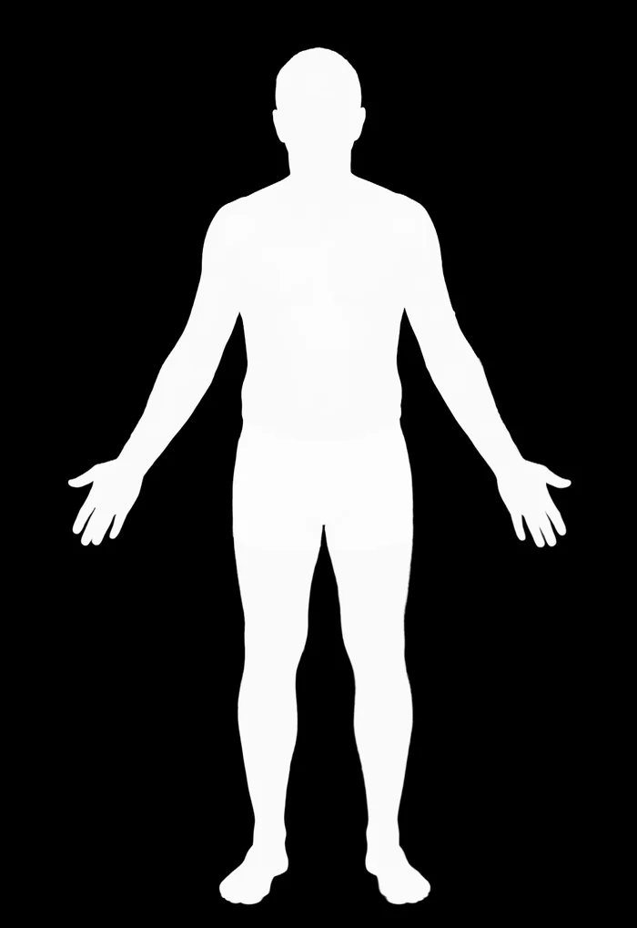 Body detection: the algorithm isolates the body from the background