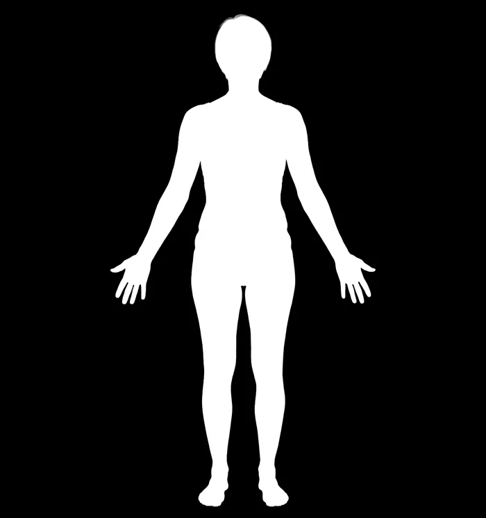 Body detection: the algorithm isolates the body from the background